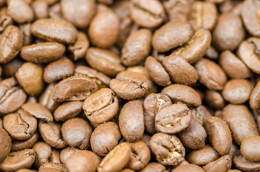 Exploring the Unique Flavors of Arabica Coffee