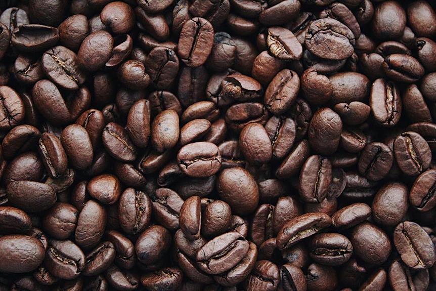 Arabica Vs. Robusta: Which Coffee Bean Is Right for You?