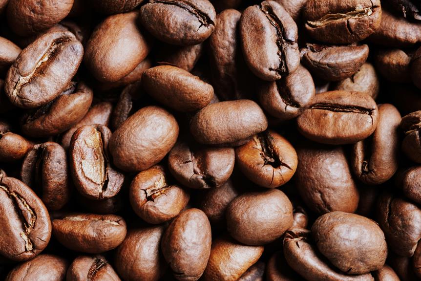 A Comprehensive Guide to the Different Types of Coffee Beans