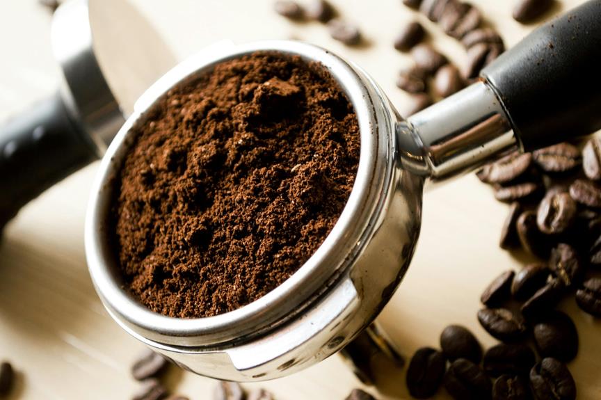 How to Choose the Best Coffee Beans for Your Brew